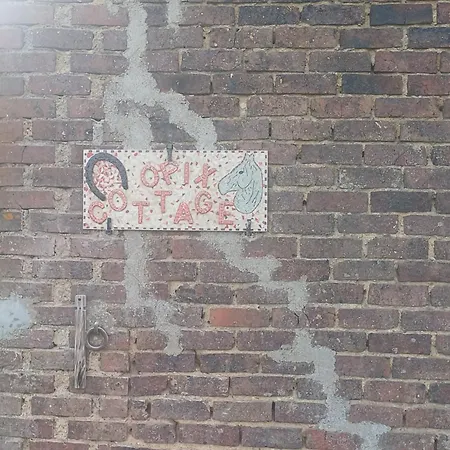 O'pix